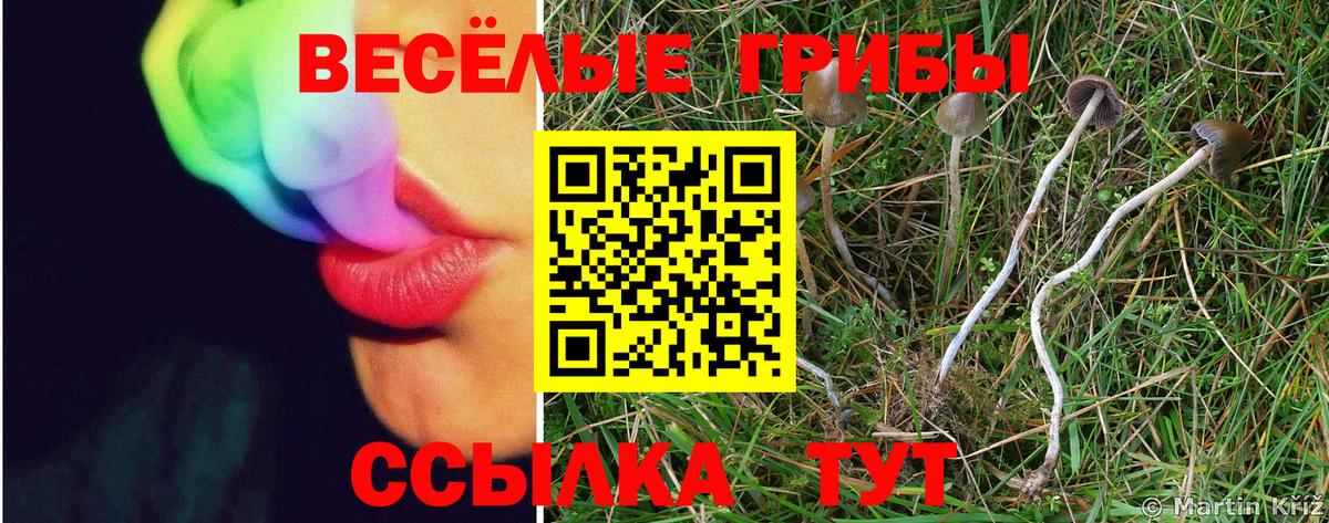 Галлюциногенные грибы прущие грибы  Галлюциногенные грибы мицелий  Югорск  Вход с VPN 