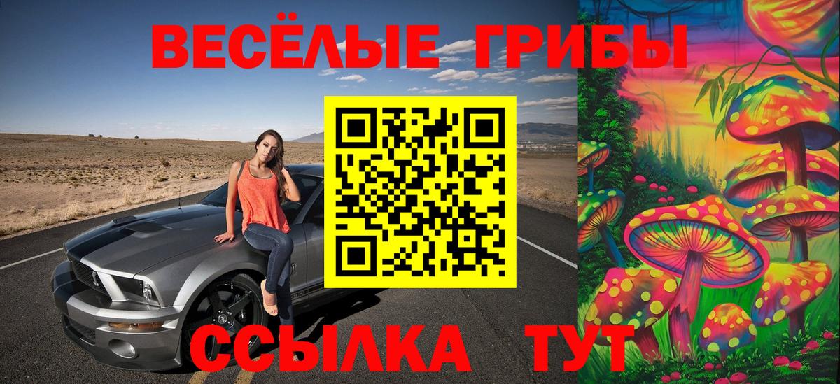 Псилоцибиновые грибы Psilocybe Югорск